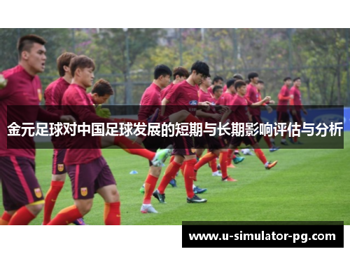 金元足球对中国足球发展的短期与长期影响评估与分析