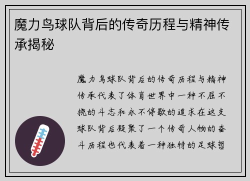 魔力鸟球队背后的传奇历程与精神传承揭秘 魔力鸟球队背后的传奇历程与精神传承揭秘